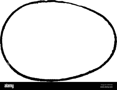 Oval Templates Blank Shape Templates Free Printable P - Vrogue.co with The Versatile Charm of Oval Dining Tables Glossy White and Chrome Explained